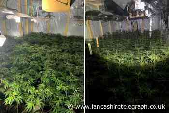 Police find ‘industrial size’ cannabis farm in Bacup