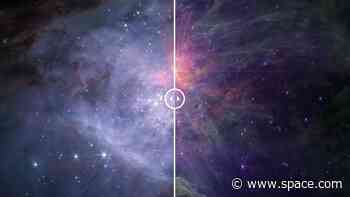 James Webb Space Telescope's stunning mosaic of Orion Nebula uncovers rogue planets (photos)