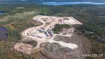 N.W.T. mine project owner sends Canadian subsidiary into bankruptcy, drops processing plant