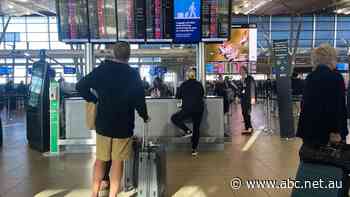 Flight prices still remain high after COVID, but some tickets are much more expensive than others