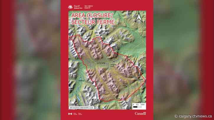 Parks Canada reveals additional details about deadly bear attack in Banff