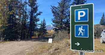 Bear that killed 2 people in Banff National Park was old, had bad teeth: officials