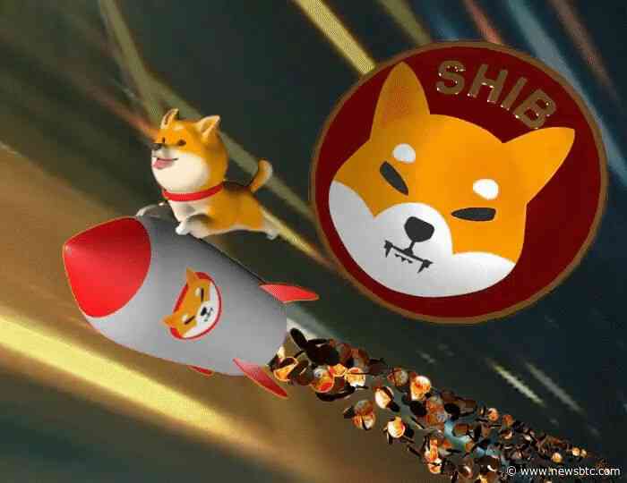 3 Reasons Why Shiba Inu Price Might See A Massive Surge Over 400%