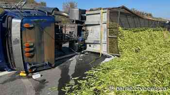 Truck rollover spills celery across section of Highway 400