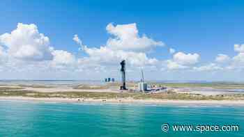 SpaceX's giant Starship vehicle towers above turquoise waters in gorgeous photo