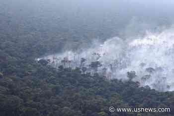 Switzerland, US Donate $8 Million to Brazil's Fund to Fight Amazon Deforestation