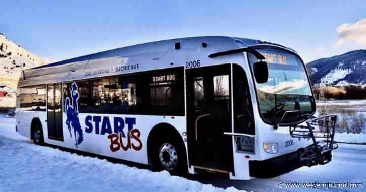 Town Falls Back on Diesel Fleet After None of Its Electric Buses Work