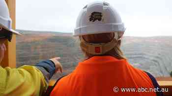 'Huge concern' as worker is diagnosed with incurable lung disease at Australia's biggest gold mine