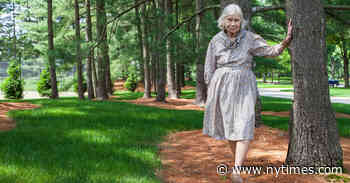 Harriet Pattison, 94, Dies; Landscape Architect With a Tie to Louis Kahn