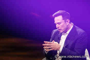 Elon Musk sued for libel by man falsely identified in neo-Nazi brawl