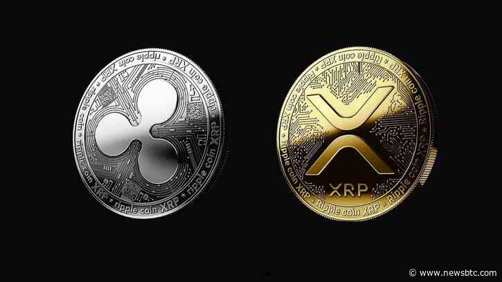 Why You Should Pay Attention To The XRP Price Predictions