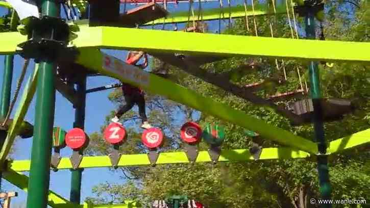 Wild on WANE: Inside Bamboo Forest