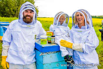 Fall’s Bounty 2023: Buzzing, sweet business Gull Lake Honey continues to thrive