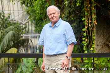 Sir David Attenborough becomes a Madame Tussauds wax figure