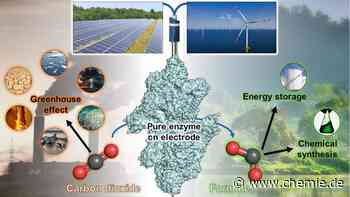 CO2 mit Strom binden: Ein Mikroben-Enzym inspiriert die Elektrochemie