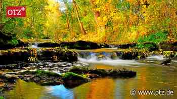 Ein Jahrhundertgift lauert überall in Thüringer Gewässern (mit interaktiver Karte)