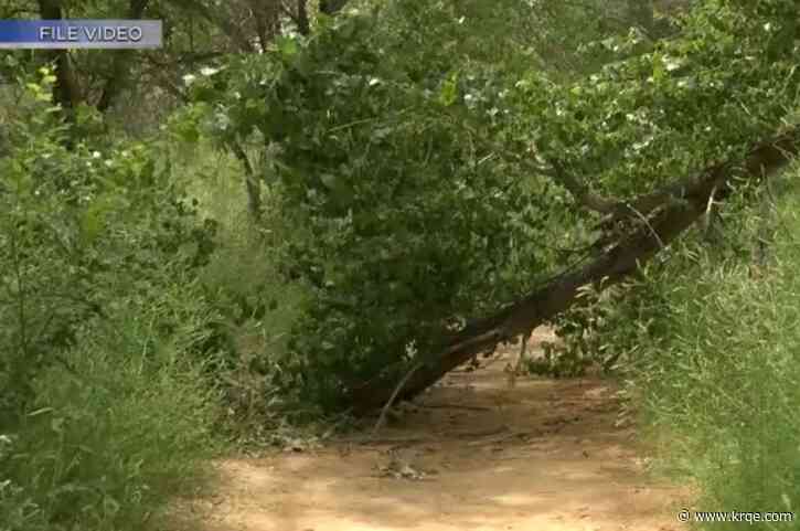 Ordinance increases amount CABQ can use for open space land and restoration