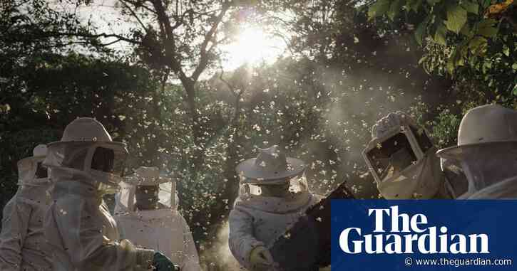 Women behind the lens: the female beekeepers who hold ‘the keys to a better world’
