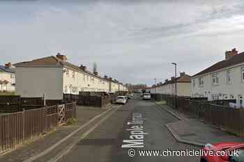 Dog destroyed after attacking man and causing serious injuries in Sunderland