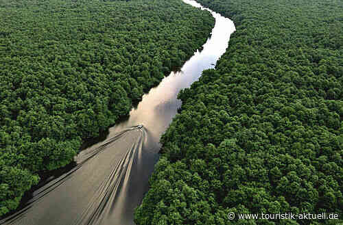 Georgien: Anmelden zum Webinar