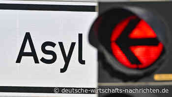 Migrationskrise: FDP setzt Bundesländern Ultimatum