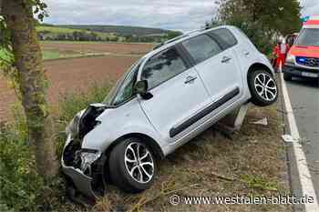 Unfall: Mann fährt nahe Warburg-Welda gegen einen Baum