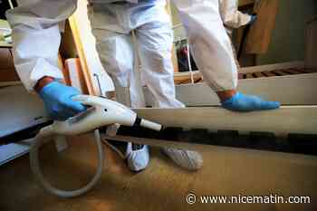 Punaises de lit: Véran promet des "décisions" vendredi après une réunion à Matignon