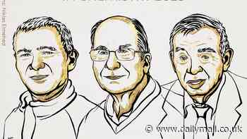Nobel Prize in Chemistry is awarded to three scientists for the discovery and synthesis of quantum dots - tiny crystals that can guide surgeons' hands as they remove complex tumours