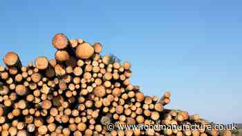Food and agriculture firms failing to act on deforestation