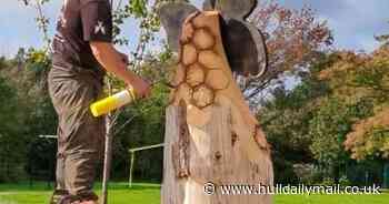 Totem poles and mural bring striking new look to Hull park