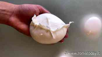 Ammano a Roma. L'azienda agricola che è rinata dalle sue difficoltà