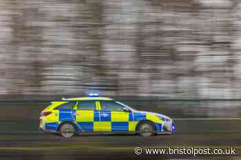 M49 fatal: Driver bailed after man dies in crash