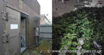 Cannabis factory found at RAF base in Cambridgeshire as over 130 plants seized