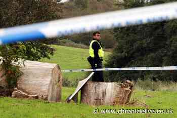 Residents speak of shock at 'awful' scenes after murder probe launched following 'XL bully dog attack'