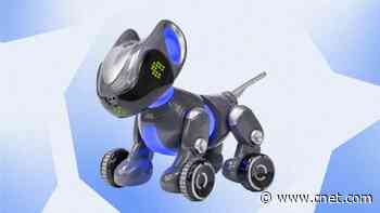 16 STEM Toys Your Smarty-Pants Kids Will Love     - CNET