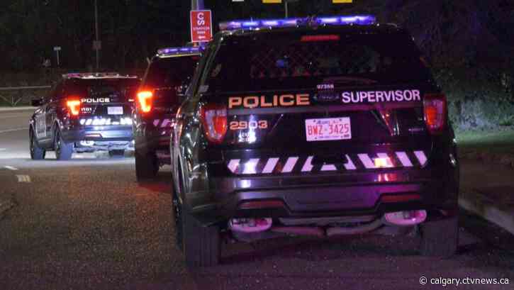 Stabbing on board CTrain forces passengers into Calgary LRT tunnel