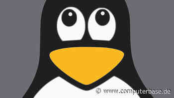 Schwachstelle in C-Bibliothek: Looney Tunables gefährdet zahlreiche Linux-Systeme