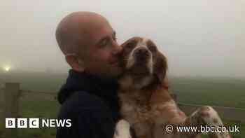 Dog owners in Northampton to be fined for failing to pick up mess