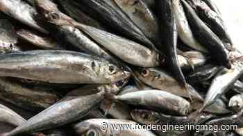 McKinsey & Co. Report Reveals Seafood Shortage