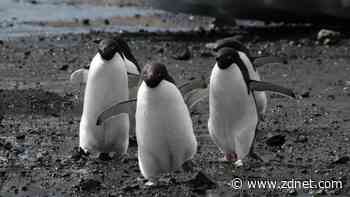 Linux tries to dump Windows' notoriously insecure RNDIS protocol