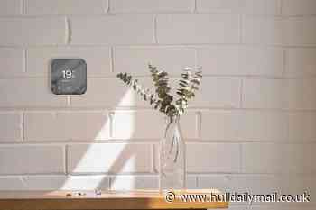 Incredible digital image shows home of the future - powered entirely by smart technology