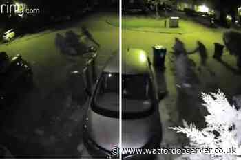 Video shows Woolmerdine Court, Bushey, bike thieves make off