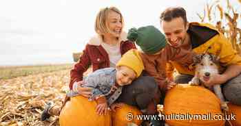 AD FEATURE: 8 places to have half term and Halloween fun in and around Hull