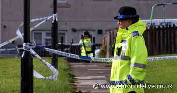 Friends pay tribute to 'kind' and 'caring fella' who died in Sunderland dog attack