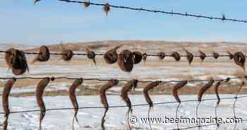 Timing, product key to fall cattle lice treatments