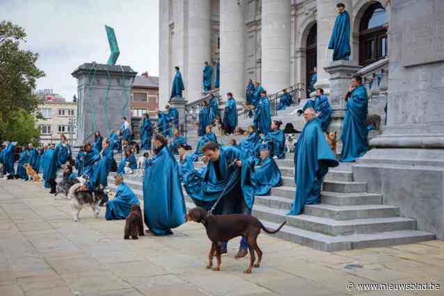 Meer dan honderd hondjes poseren voor KMSKA voor kunstproject van Vincent Lagrange: “Een prachtige uitstap op Werelddierendag”