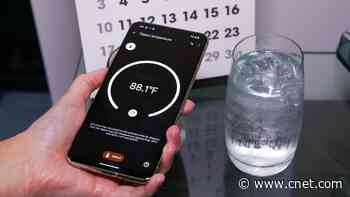 Google's Pixel 8 Pro Has a Temperature Sensor. Here's What It Does     - CNET