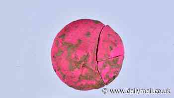 Archeologists unearth 2,000-year-old ancient Roman makeup in Turkey that is similar to blush and eyeshadow used today - and it is still intact