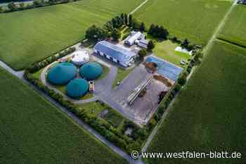 Bad Oeynhausen: Energieschub vom Hüffer Brink