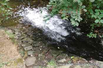 Zukunfsweisende Espelkamper Projekte